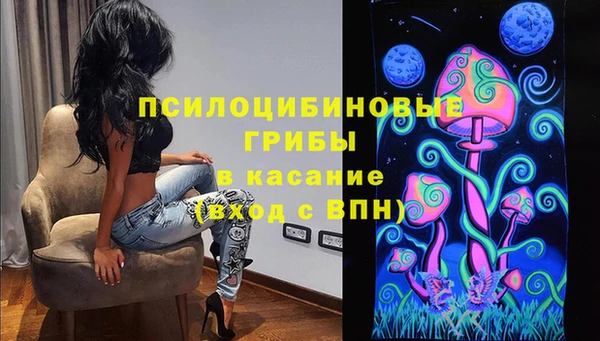 винт Богородицк