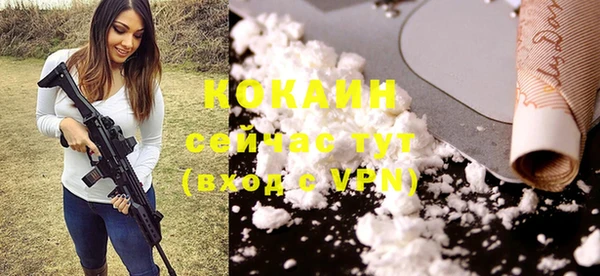 винт Богородицк
