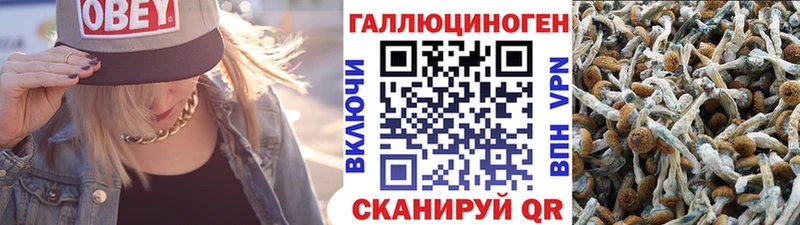 Псилоцибиновые грибы прущие грибы  blacksprut маркетплейс  Южно-Сухокумск  сколько стоит 
